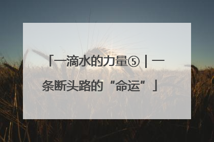 一滴水的力量⑤｜一条断头路的“命运”