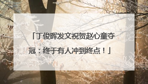 丁俊晖发文祝贺赵心童夺冠：终于有人冲到终点！