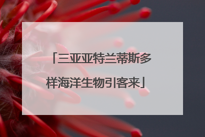 三亚亚特兰蒂斯多样海洋生物引客来