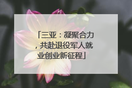 三亚：凝聚合力，共赴退役军人就业创业新征程