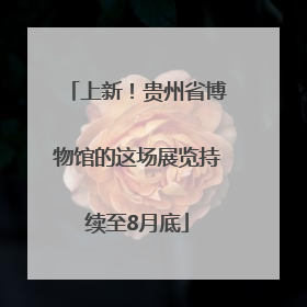 上新！贵州省博物馆的这场展览持续至8月底