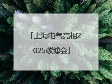 上海电气亮相2025碳博会