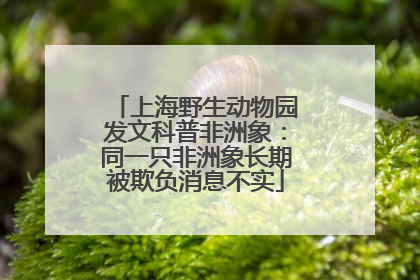 上海野生动物园发文科普非洲象：同一只非洲象长期被欺负消息不实
