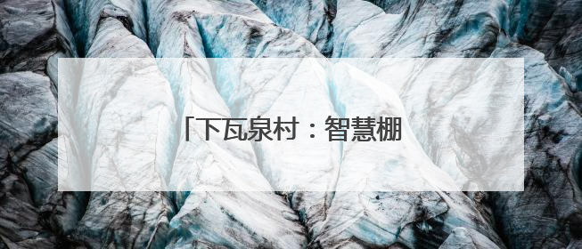 下瓦泉村：智慧棚种出“共富菜”