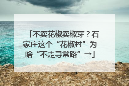 不卖花椒卖椒芽？石家庄这个“花椒村”为啥“不走寻常路”→