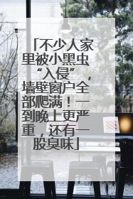 不少人家里被小黑虫“入侵”，墙壁窗户全部爬满！一到晚上更严重，还有一股臭味