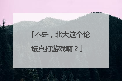 不是，北大这个论坛真打游戏啊？