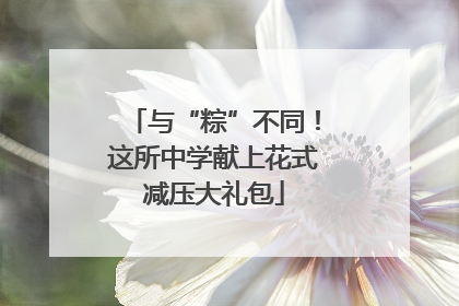 与“粽”不同！这所中学献上花式减压大礼包