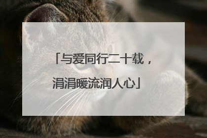 与爱同行二十载，涓涓暖流润人心
