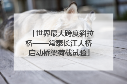 世界最大跨度斜拉桥——常泰长江大桥启动桥梁荷载试验