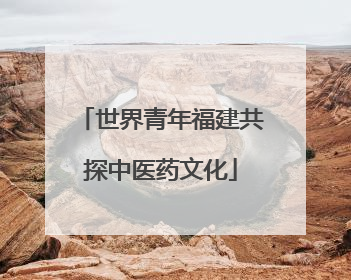 世界青年福建共探中医药文化