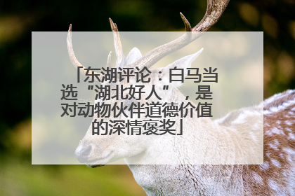 东湖评论：白马当选“湖北好人”，是对动物伙伴道德价值的深情褒奖
