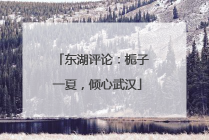 东湖评论：栀子一夏，倾心武汉