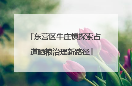 东营区牛庄镇探索占道晒粮治理新路径