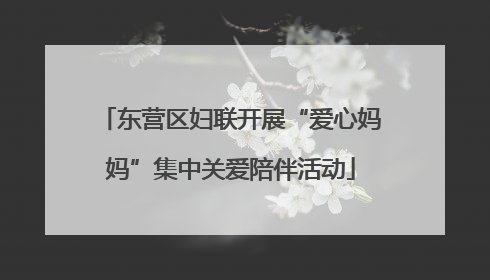 东营区妇联开展“爱心妈妈”集中关爱陪伴活动