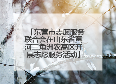 东营市志愿服务联合会在山东省黄河三角洲农高区开展志愿服务活动