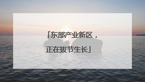 东部产业新区，正在拔节生长