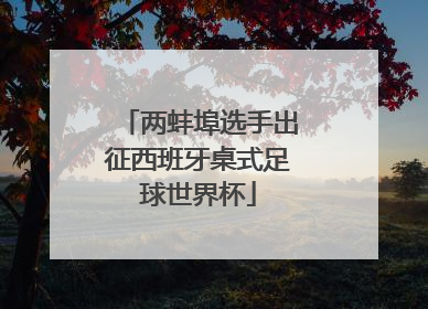 两蚌埠选手出征西班牙桌式足球世界杯