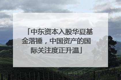 中东资本入股华夏基金落锤，中国资产的国际关注度正升温
