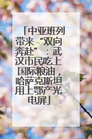 中亚班列带来“双向奔赴”:武汉市民吃上国际粮油,哈萨克斯坦用上鄂产光电屏