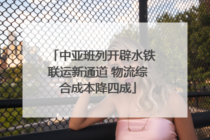 中亚班列开辟水铁联运新通道 物流综合成本降四成