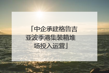 中企承建格鲁吉亚波季港集装箱堆场投入运营