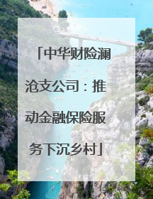 中华财险澜沧支公司：推动金融保险服务下沉乡村