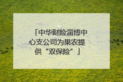 中华财险淄博中心支公司为果农提供“双保险”