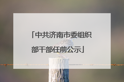 中共济南市委组织部干部任前公示