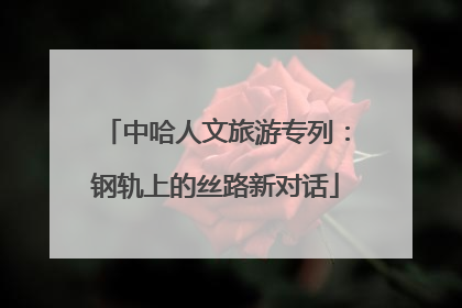 中哈人文旅游专列：钢轨上的丝路新对话