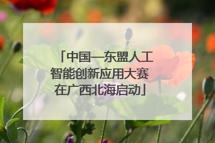 中国—东盟人工智能创新应用大赛在广西北海启动