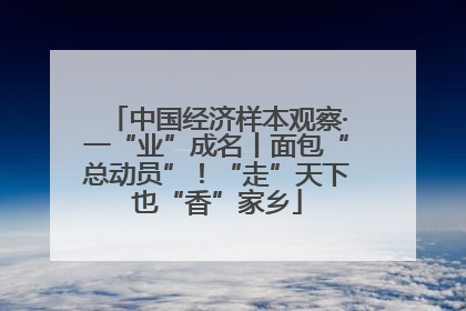 中国经济样本观察·一“业”成名丨面包“总动员”！“走”天下也“香”家乡