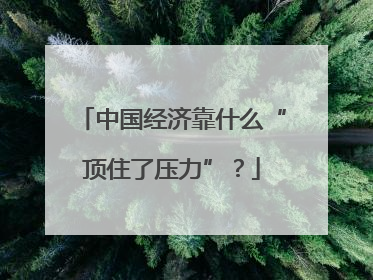 中国经济靠什么“顶住了压力”？