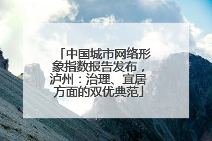 中国城市网络形象指数报告发布，泸州：治理、宜居方面的双优典范