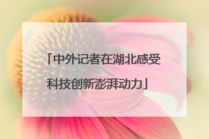 中外记者在湖北感受科技创新澎湃动力