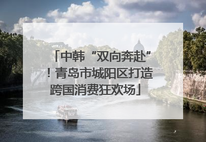 中韩“双向奔赴”！青岛市城阳区打造跨国消费狂欢场