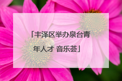 丰泽区举办泉台青年人才 音乐荟