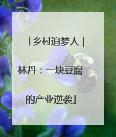 乡村追梦人｜林丹：一块豆腐的产业逆袭