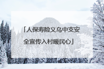 人保寿险义乌中支安全宣传入村暖民心