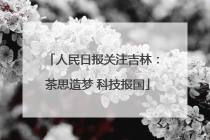 人民日报关注吉林：茶思造梦 科技报国