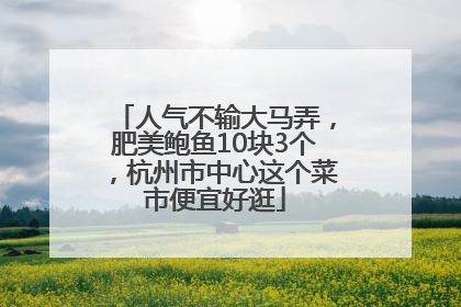 人气不输大马弄，肥美鲍鱼10块3个，杭州市中心这个菜市便宜好逛