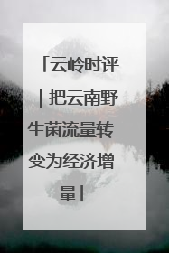云岭时评｜把云南野生菌流量转变为经济增量