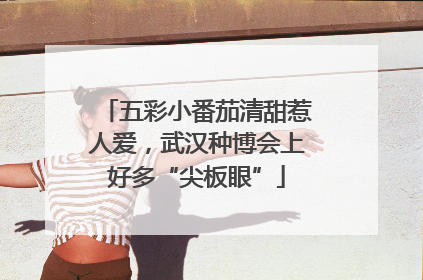 五彩小番茄清甜惹人爱，武汉种博会上好多“尖板眼”