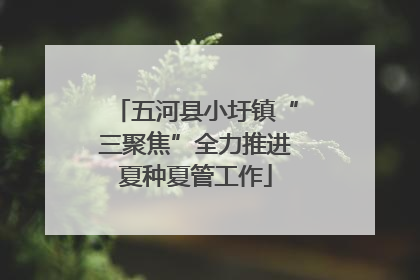 五河县小圩镇“三聚焦”全力推进夏种夏管工作