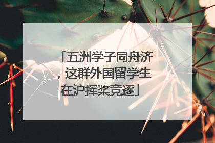 五洲学子同舟济，这群外国留学生在沪挥桨竞逐