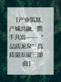 产业筑基、产城共融、携手共富——“品质龙泉”高质量发展三部曲