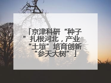 京津科研“种子”扎根河北，产业“土壤”培育创新“参天大树”