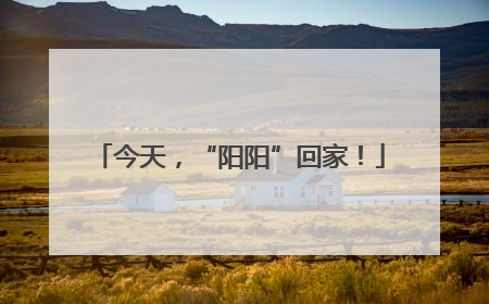 今天，“阳阳”回家！