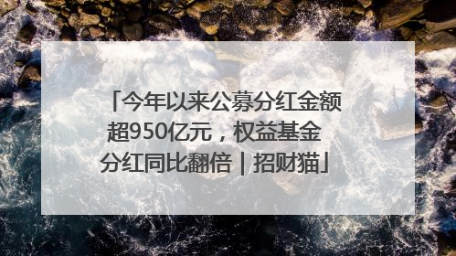 今年以来公募分红金额超950亿元，权益基金分红同比翻倍｜招财猫