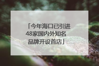 今年海口已引进48家国内外知名品牌开设首店
